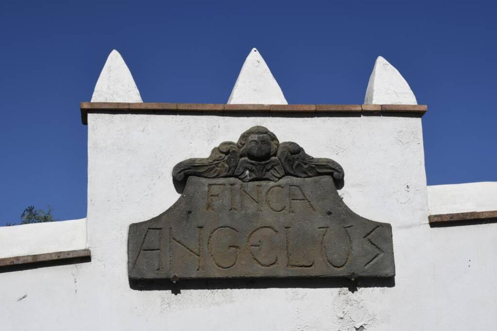 Finca Angelus Apartment Syrah with Amazing Views La Matanza De Acentejo Bagian luar foto