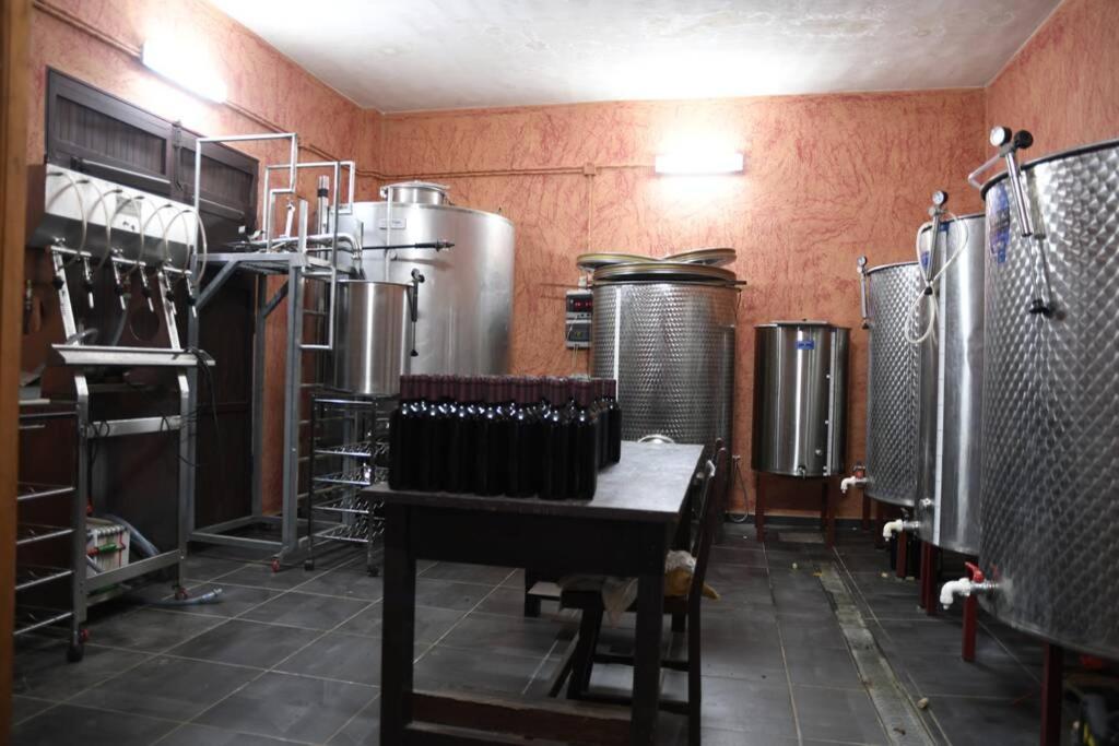 Finca Angelus Apartment Syrah with Amazing Views La Matanza De Acentejo Bagian luar foto