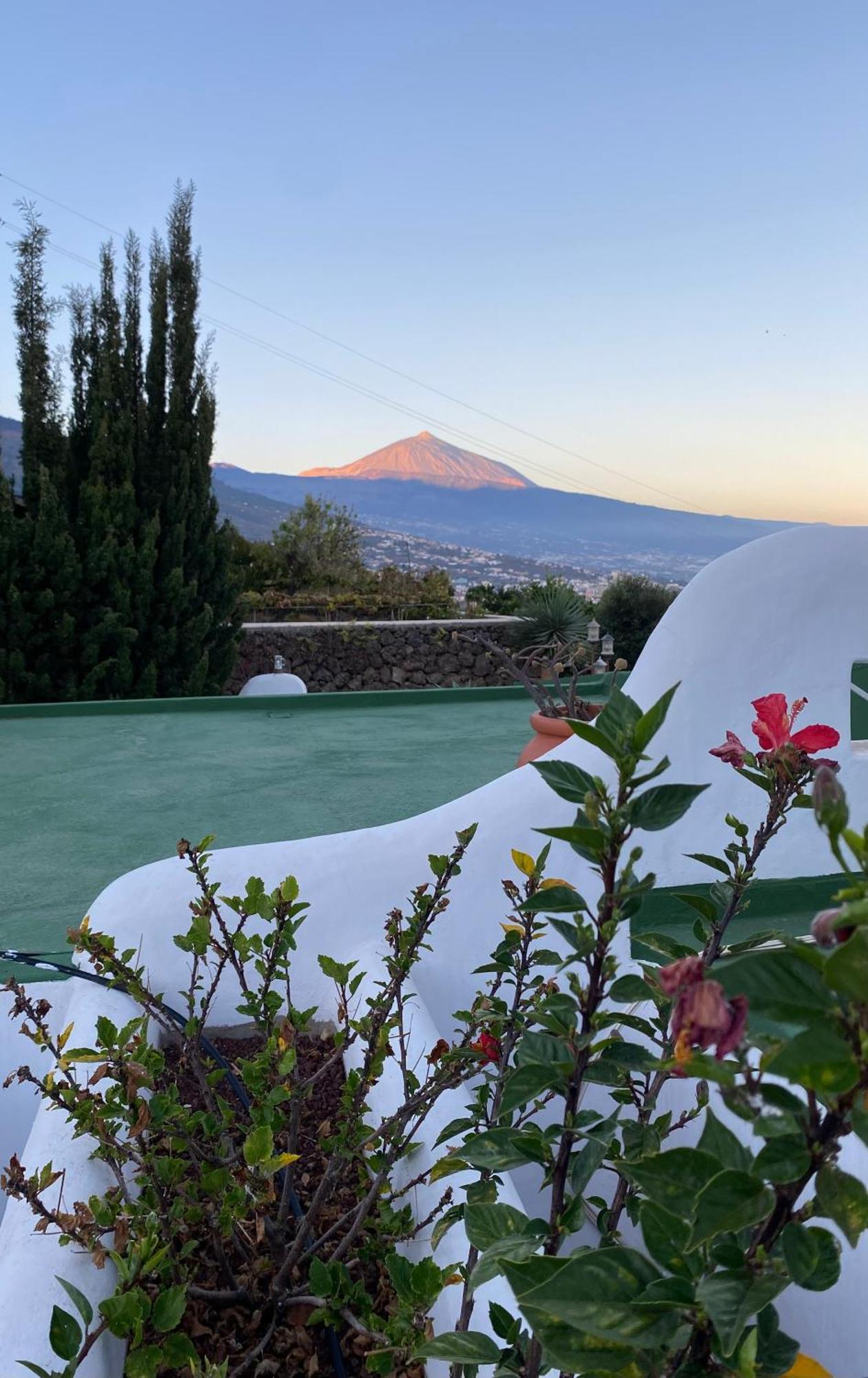 Finca Angelus Apartment Syrah with Amazing Views La Matanza De Acentejo Bagian luar foto