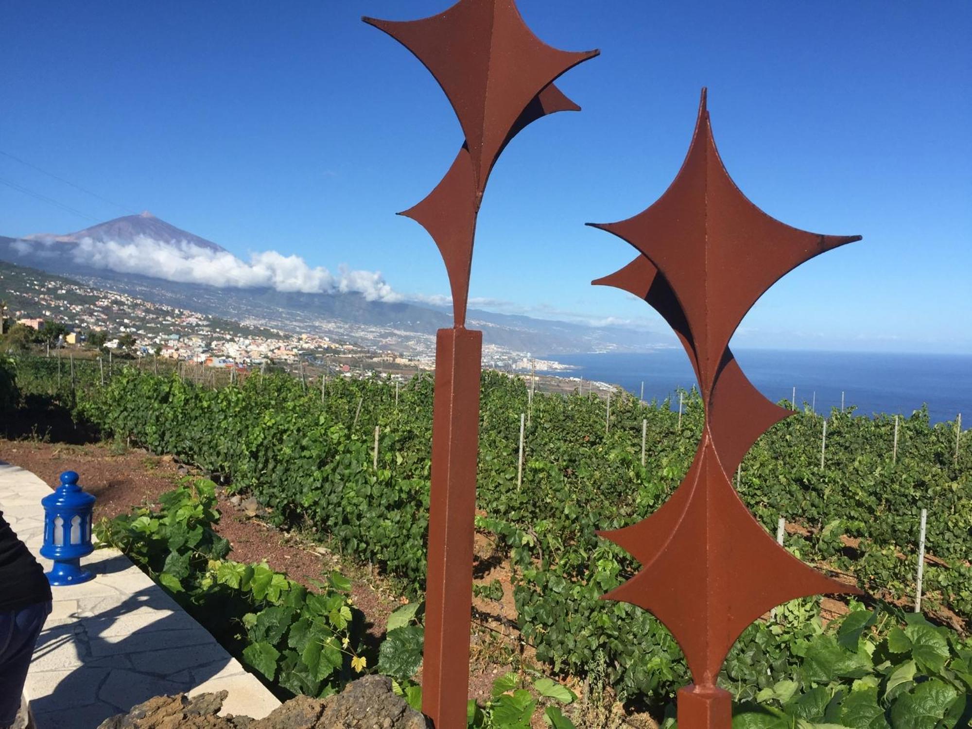 Finca Angelus Apartment Syrah with Amazing Views La Matanza De Acentejo Bagian luar foto
